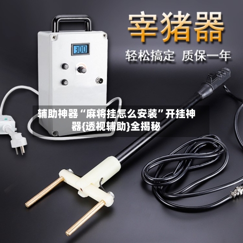 辅助神器“麻将挂怎么安装	”开挂神器{透视辅助}全揭秘-第2张图片