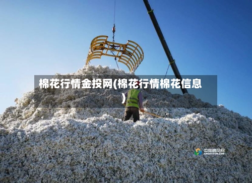棉花行情金投网(棉花行情棉花信息)