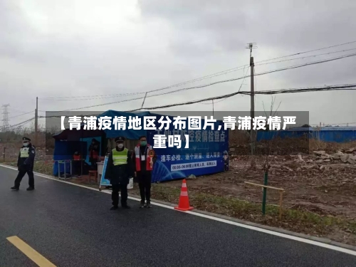 【青浦疫情地区分布图片,青浦疫情严重吗】