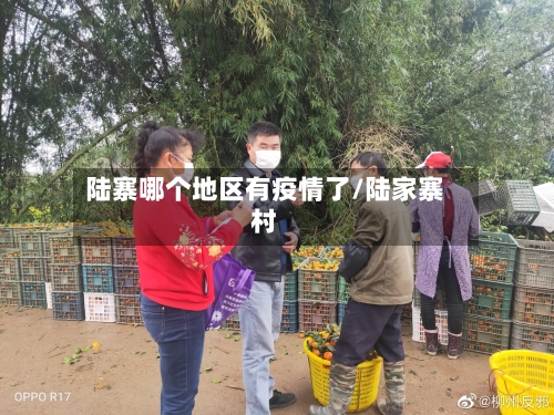 陆寨哪个地区有疫情了/陆家寨村
