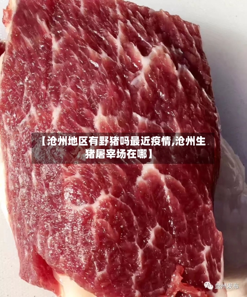 【沧州地区有野猪吗最近疫情,沧州生猪屠宰场在哪】