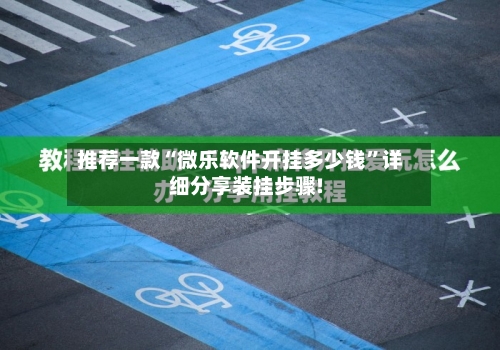 推荐一款“微乐软件开挂多少钱”详细分享装挂步骤!-第3张图片