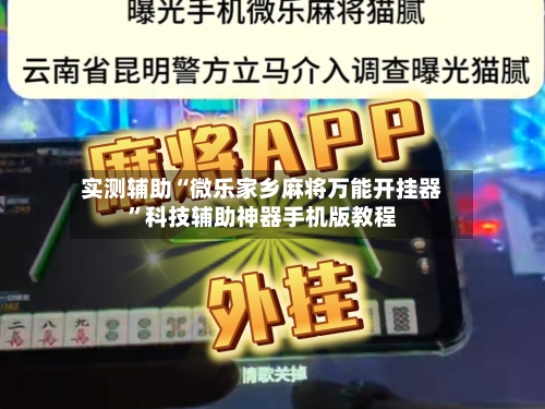实测辅助“微乐家乡麻将万能开挂器”科技辅助神器手机版教程-第3张图片