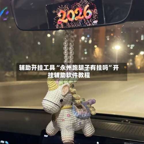 辅助开挂工具“永州跑胡子有挂吗	”开挂辅助软件教程-第2张图片
