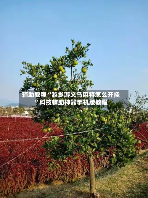 辅助教程“越乡游义乌麻将怎么开挂”科技辅助神器手机版教程-第2张图片
