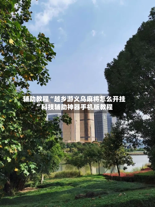 辅助教程“越乡游义乌麻将怎么开挂”科技辅助神器手机版教程-第3张图片