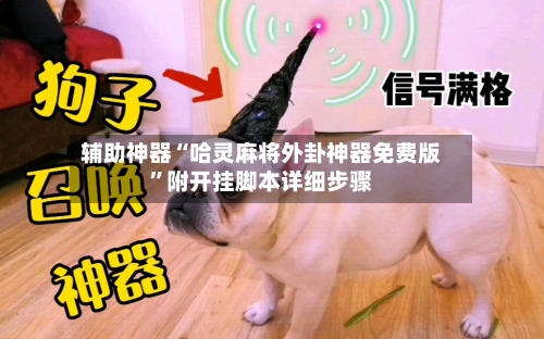 辅助神器“哈灵麻将外卦神器免费版”附开挂脚本详细步骤-第2张图片