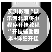实测教程“微乐河北麻将小程序开挂教程	”开挂辅助脚本+详细开挂安装教程-第2张图片