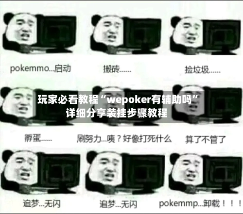 玩家必看教程“wepoker有辅助吗”详细分享装挂步骤教程-第3张图片