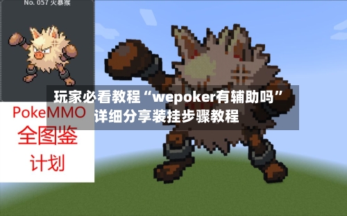 玩家必看教程“wepoker有辅助吗”详细分享装挂步骤教程-第2张图片
