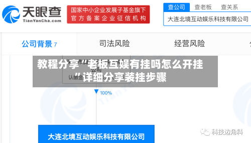 教程分享“老板互娱有挂吗怎么开挂	”详细分享装挂步骤-第2张图片