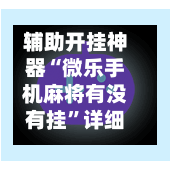 辅助开挂神器“微乐手机麻将有没有挂”详细分享装挂步骤-第3张图片
