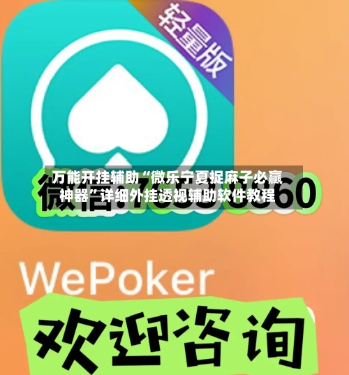 万能开挂辅助“微乐宁夏捉麻子必赢神器”详细外挂透视辅助软件教程-第3张图片