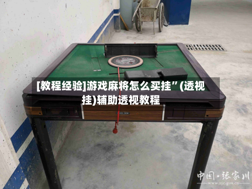 [教程经验]游戏麻将怎么买挂	”(透视挂)辅助透视教程-第2张图片