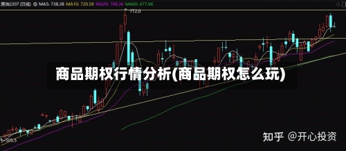 商品期权行情分析(商品期权怎么玩)-第2张图片