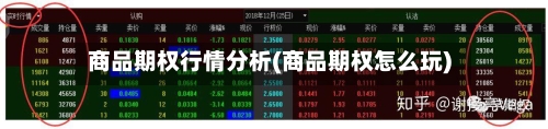 商品期权行情分析(商品期权怎么玩)
