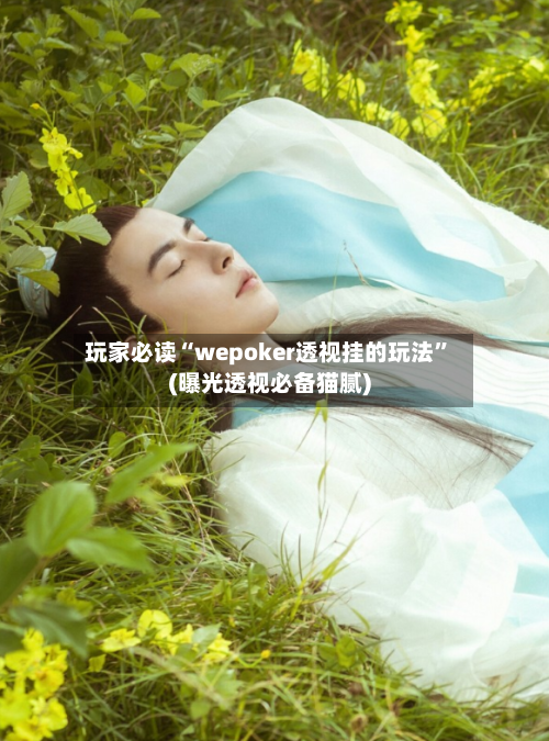 玩家必读“wepoker透视挂的玩法”(曝光透视必备猫腻)