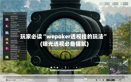 玩家必读“wepoker透视挂的玩法”(曝光透视必备猫腻)-第2张图片
