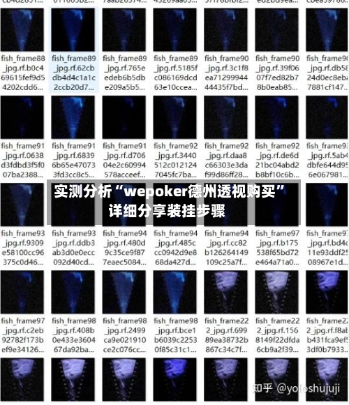 实测分析“wepoker德州透视购买”详细分享装挂步骤