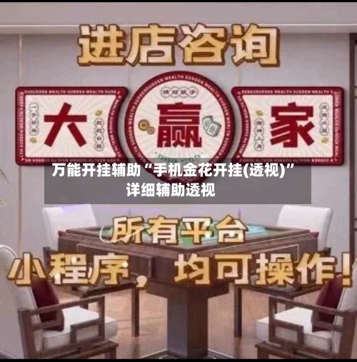 万能开挂辅助“手机金花开挂(透视)”详细辅助透视