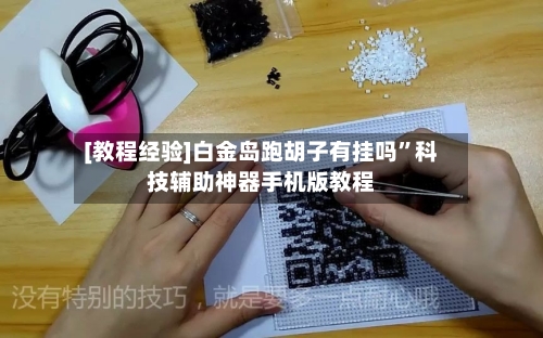 [教程经验]白金岛跑胡子有挂吗	”科技辅助神器手机版教程-第2张图片