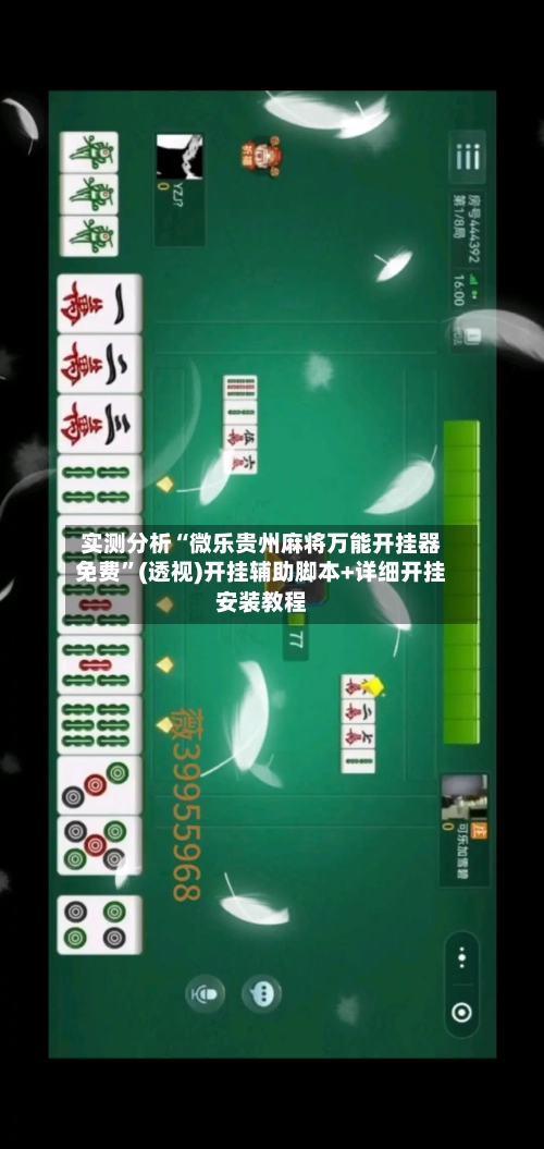 实测分析“微乐贵州麻将万能开挂器免费”(透视)开挂辅助脚本+详细开挂安装教程