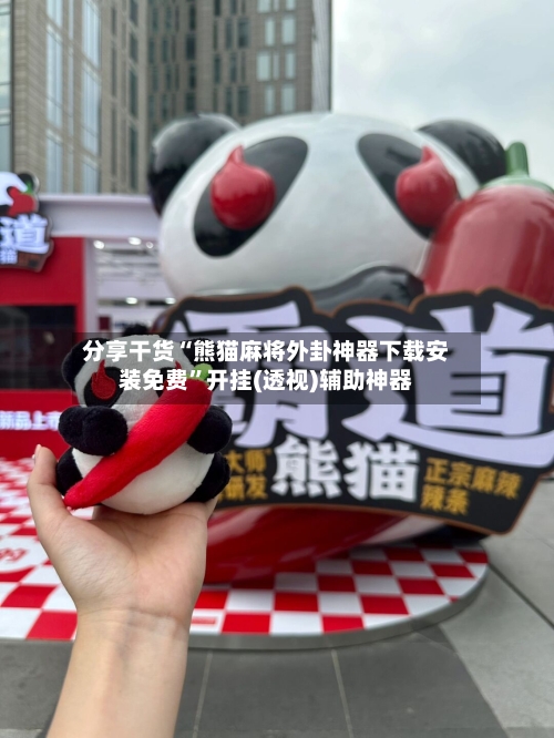 分享干货“熊猫麻将外卦神器下载安装免费”开挂(透视)辅助神器-第3张图片
