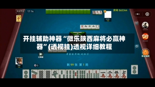 开挂辅助神器“微乐陕西麻将必赢神器	”(透视挂)透视详细教程-第2张图片