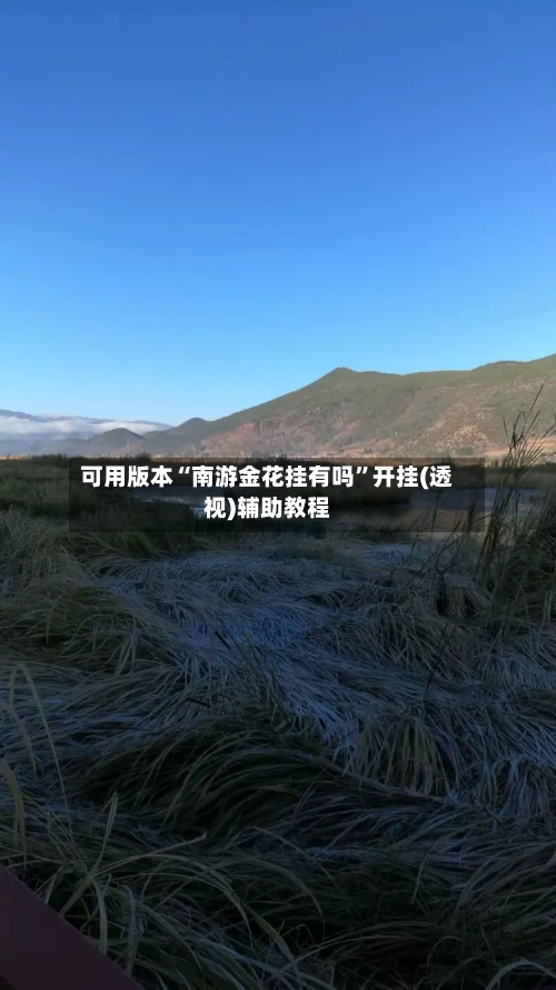 可用版本“南游金花挂有吗”开挂(透视)辅助教程-第2张图片