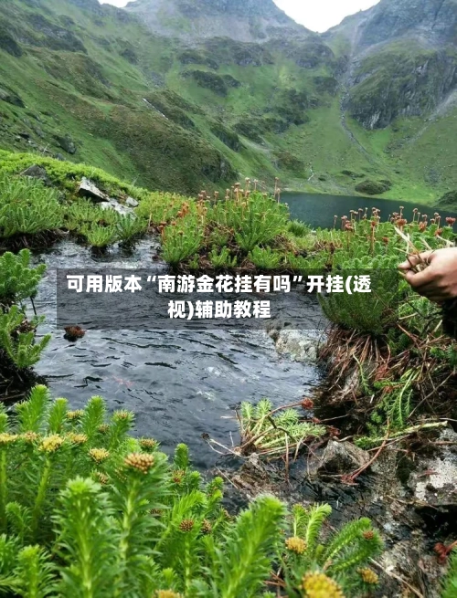 可用版本“南游金花挂有吗”开挂(透视)辅助教程