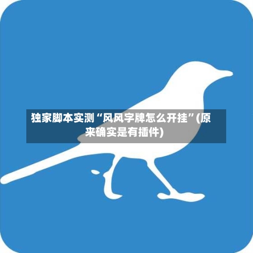 独家脚本实测“风风字牌怎么开挂”(原来确实是有插件)
