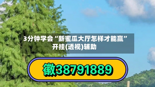 3分钟学会“新蜜瓜大厅怎样才能赢	”开挂(透视)辅助-第2张图片