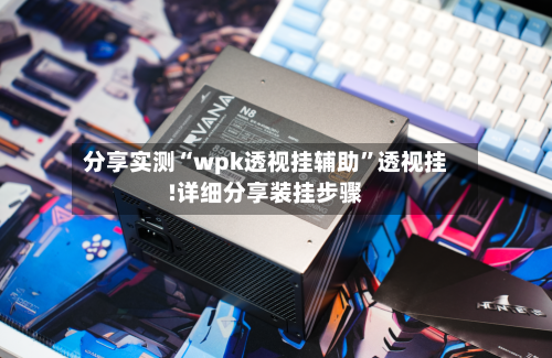 分享实测“wpk透视挂辅助”透视挂!详细分享装挂步骤