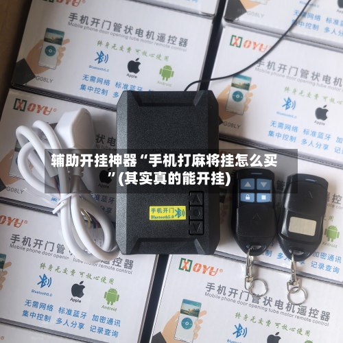 辅助开挂神器“手机打麻将挂怎么买	”(其实真的能开挂)-第2张图片