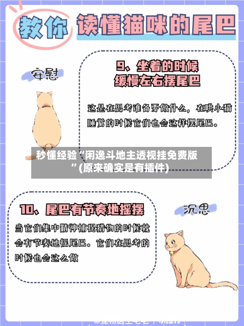 秒懂经验“闲逸斗地主透视挂免费版”(原来确实是有插件)-第3张图片