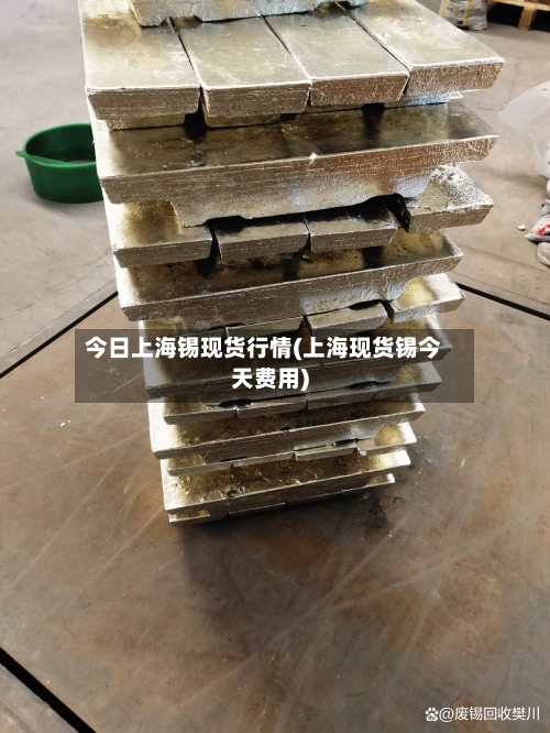 今日上海锡现货行情(上海现货锡今天费用)
