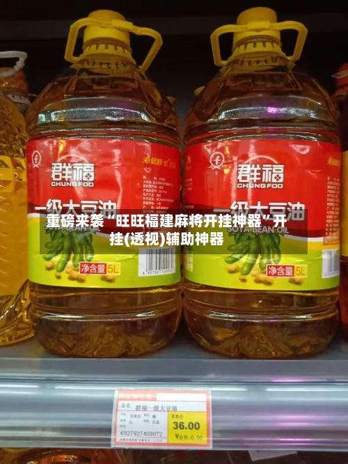 重磅来袭“旺旺福建麻将开挂神器”开挂(透视)辅助神器-第2张图片