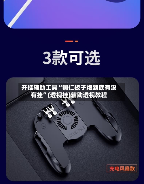 开挂辅助工具“铜仁板子炮到底有没有挂”(透视挂)辅助透视教程-第2张图片