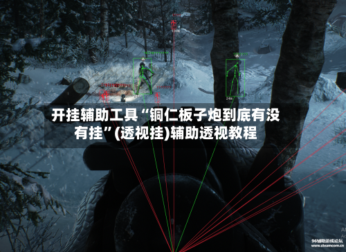 开挂辅助工具“铜仁板子炮到底有没有挂”(透视挂)辅助透视教程-第3张图片