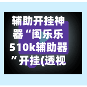 辅助开挂神器“闽乐乐510k辅助器	”开挂(透视)辅助-第2张图片