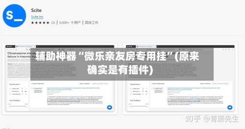 辅助神器“微乐亲友房专用挂”(原来确实是有插件)-第2张图片