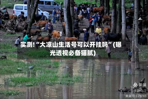 实测!“大凉山生活号可以开挂吗”(曝光透视必备猫腻)-第2张图片