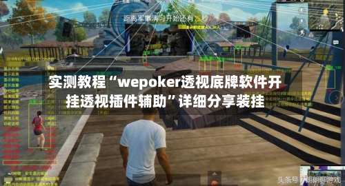 实测教程“wepoker透视底牌软件开挂透视插件辅助”详细分享装挂-第2张图片