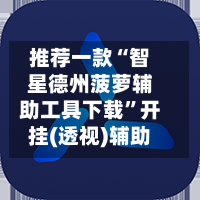 推荐一款“智星德州菠萝辅助工具下载	”开挂(透视)辅助-第2张图片