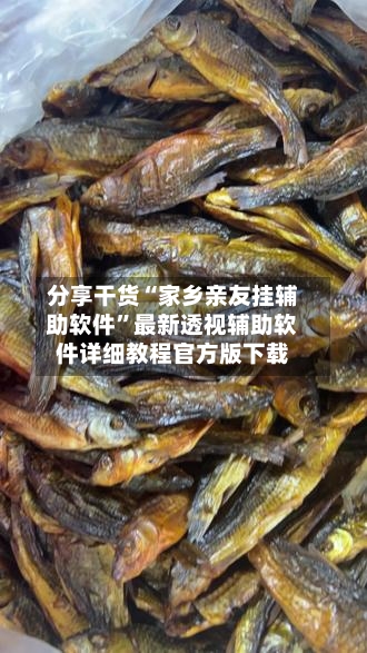 分享干货“家乡亲友挂辅助软件”最新透视辅助软件详细教程官方版下载-第2张图片