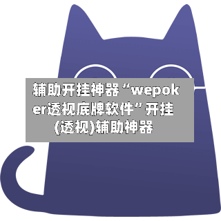 辅助开挂神器“wepoker透视底牌软件”开挂(透视)辅助神器