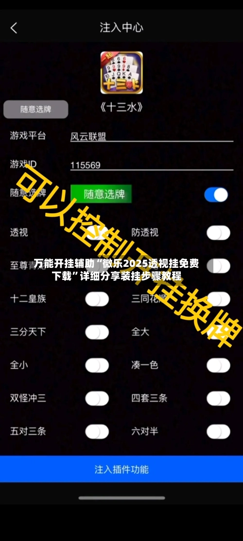 万能开挂辅助“微乐2025透视挂免费下载”详细分享装挂步骤教程-第2张图片