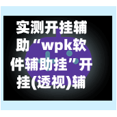 实测开挂辅助“wpk软件辅助挂	”开挂(透视)辅助教程-第3张图片
