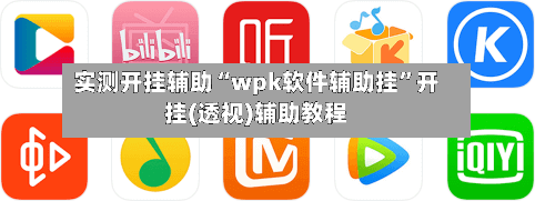 实测开挂辅助“wpk软件辅助挂”开挂(透视)辅助教程-第2张图片