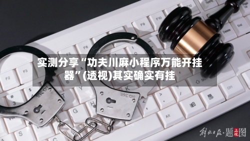 实测分享“功夫川麻小程序万能开挂器	”(透视)其实确实有挂-第3张图片